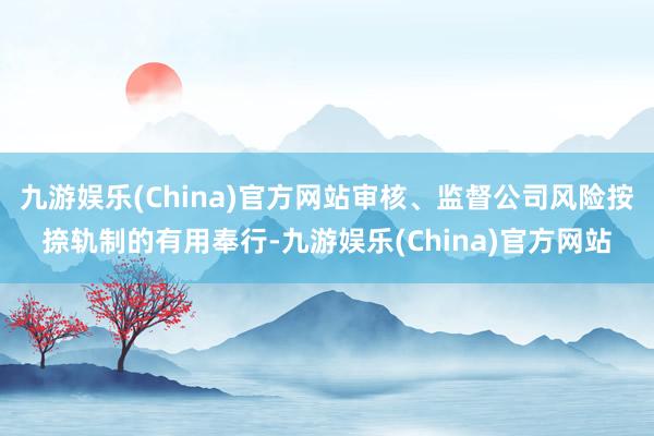 九游娱乐(China)官方网站审核、监督公司风险按捺轨制的有用奉行-九游娱乐(China)官方网站