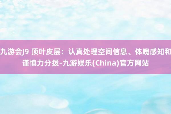 九游会J9 顶叶皮层：认真处理空间信息、体魄感知和谨慎力分拨-九游娱乐(China)官方网站