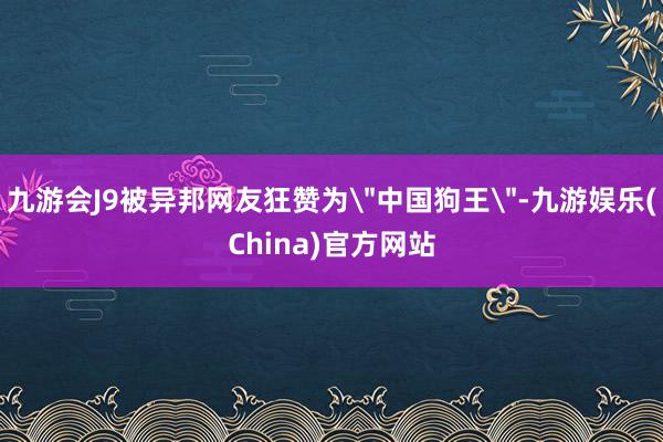 九游会J9被异邦网友狂赞为＂中国狗王＂-九游娱乐(China)官方网站